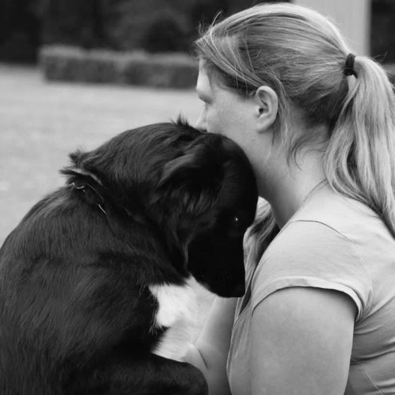 honden uitlaatservice maastricht